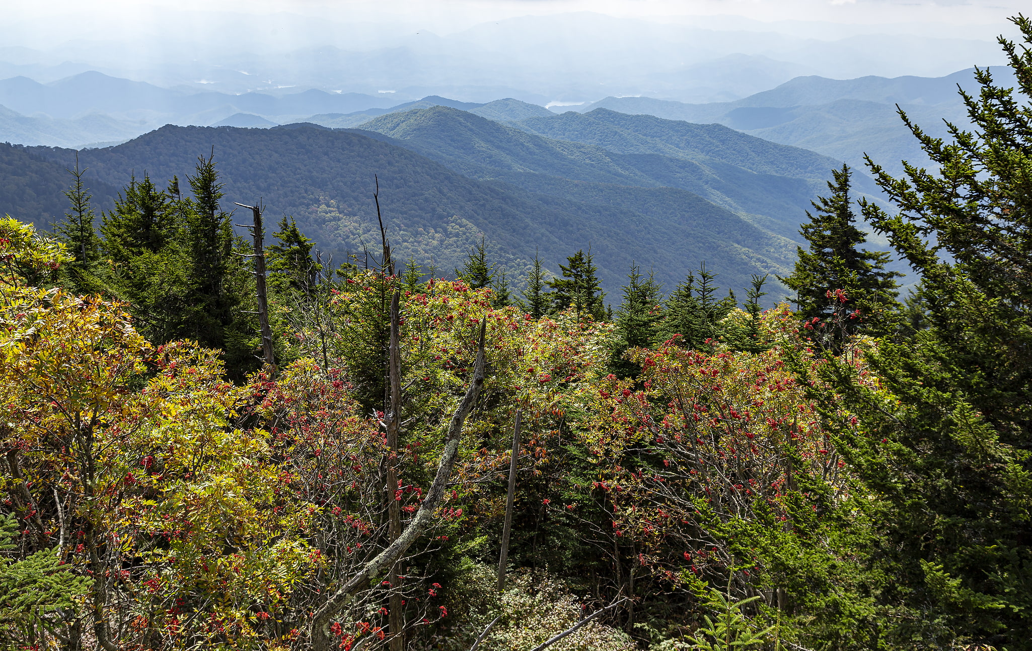 Parc national des Great Smoky Mountains, États-Unis
