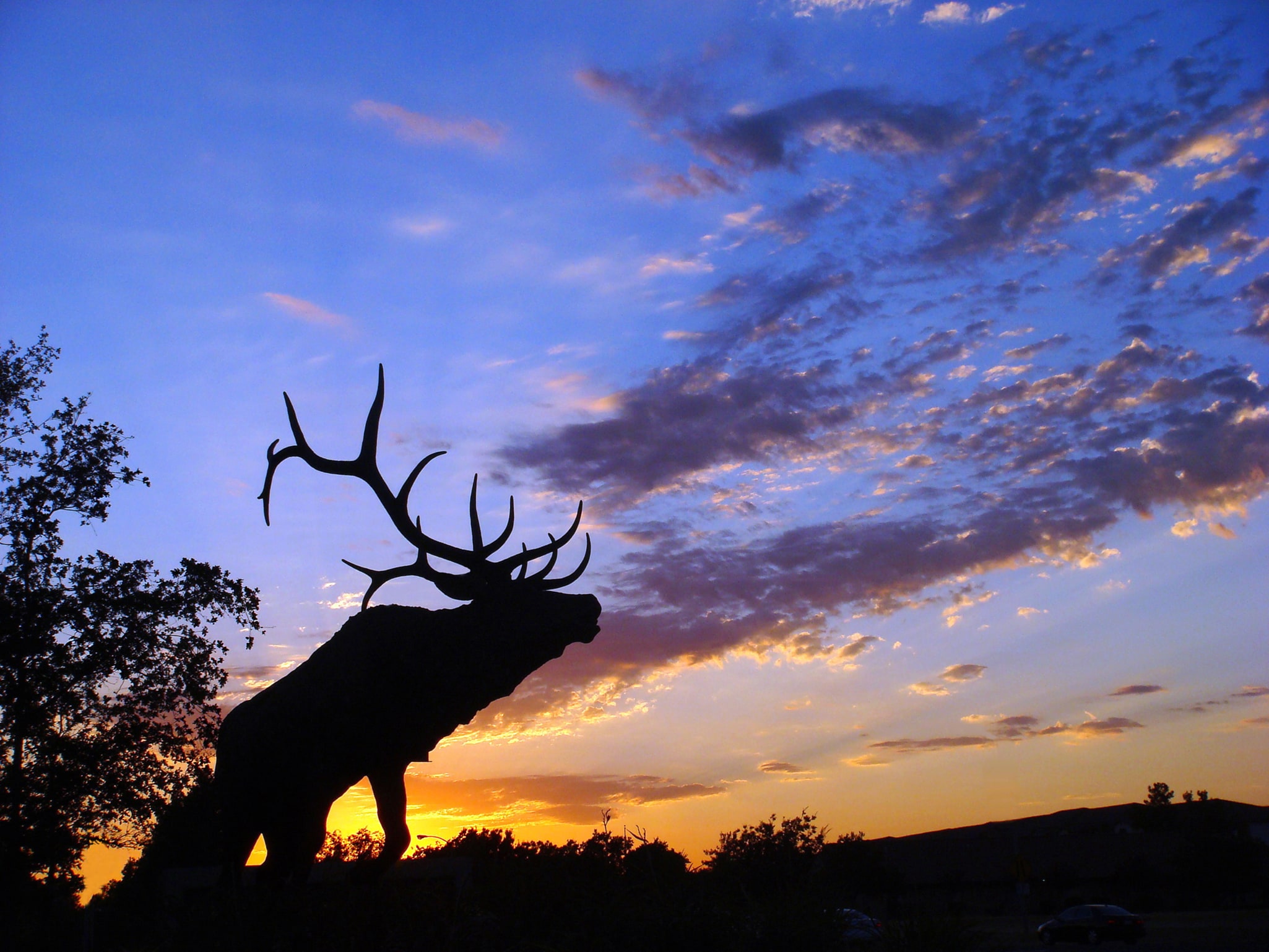 Elk Grove, États-Unis