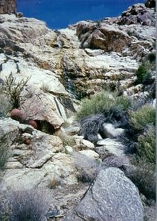 Old Woman Mountains Wilderness, Vereinigte Staaten