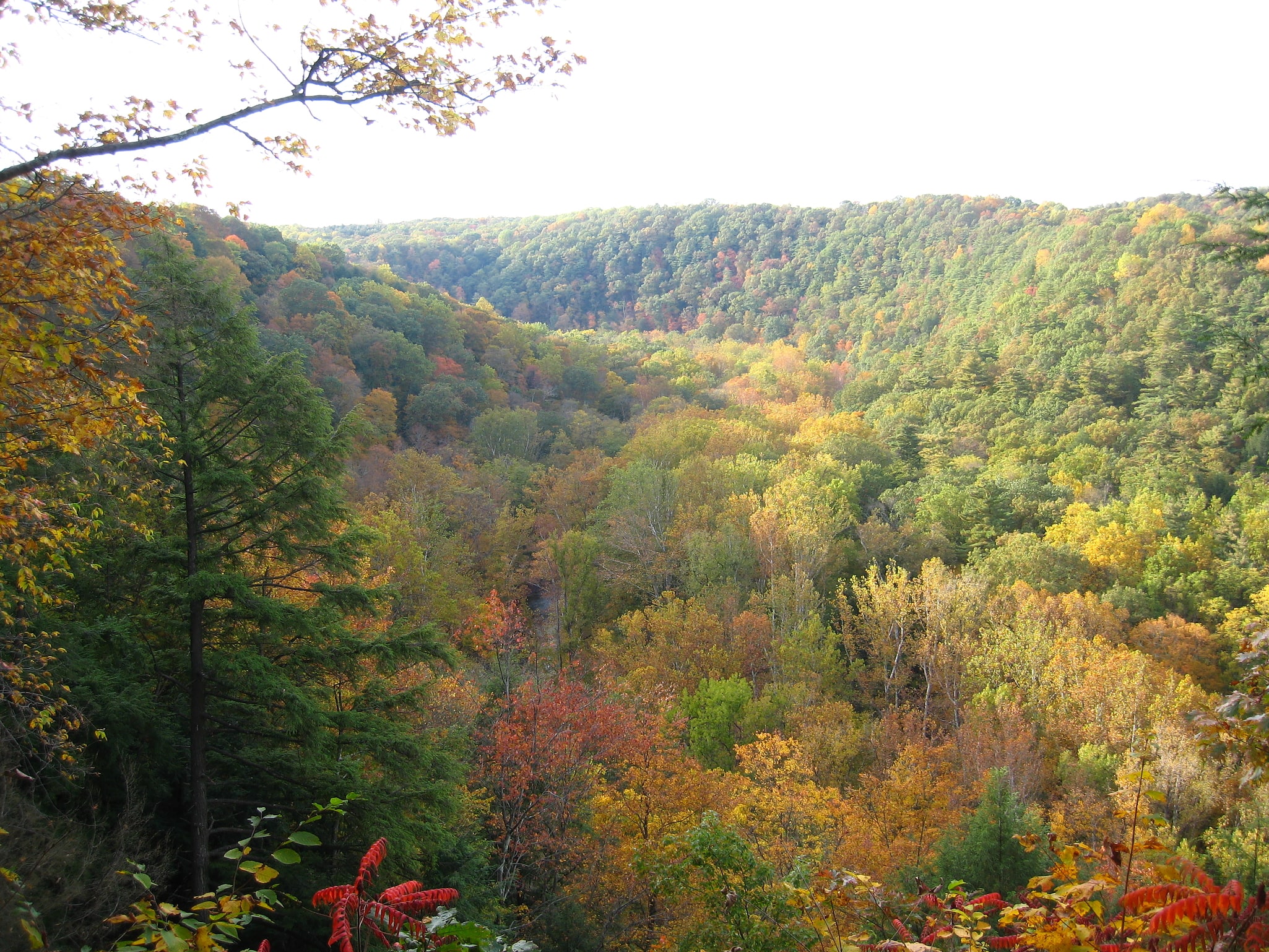 Mohican State Park, Estados Unidos