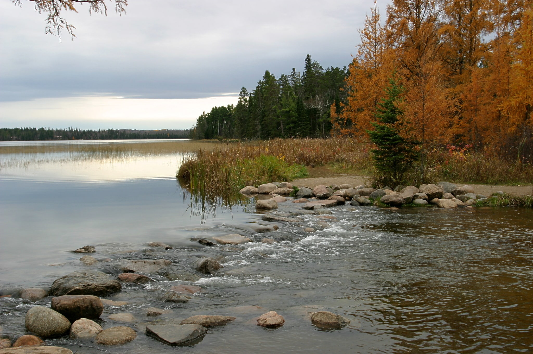 Itasca State Park, United States