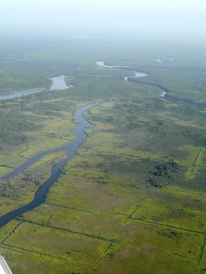 Savannah National Wildlife Refuge, Stany Zjednoczone