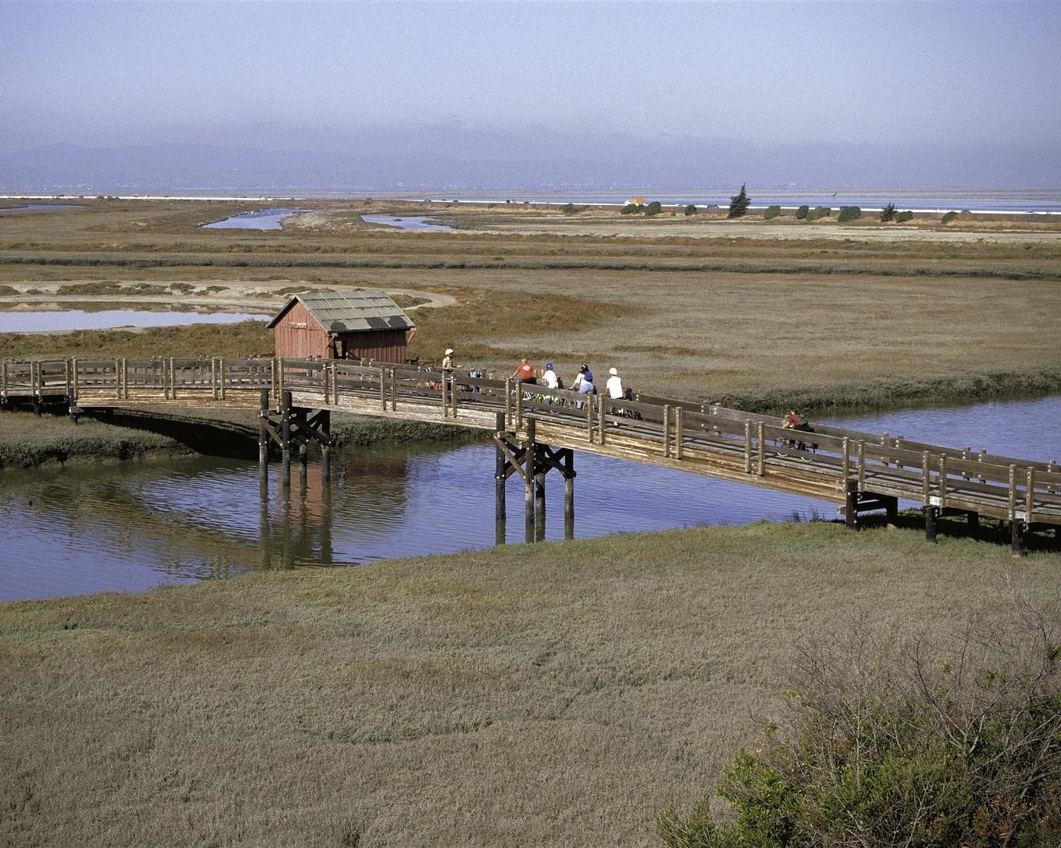 Don Edwards San Francisco Bay National Wildlife Refuge, Stany Zjednoczone