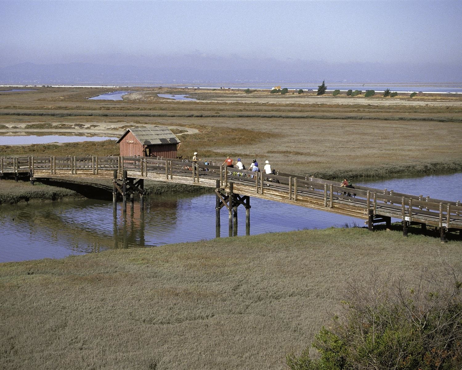 Don Edwards San Francisco Bay National Wildlife Refuge, Estados Unidos