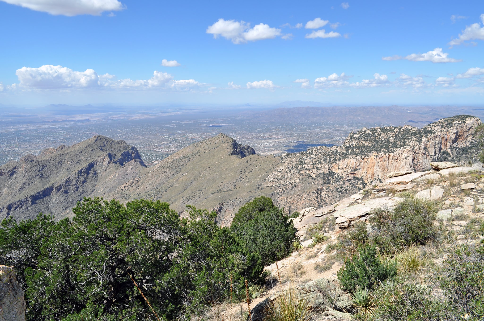 Pusch Ridge Wilderness Area, Estados Unidos