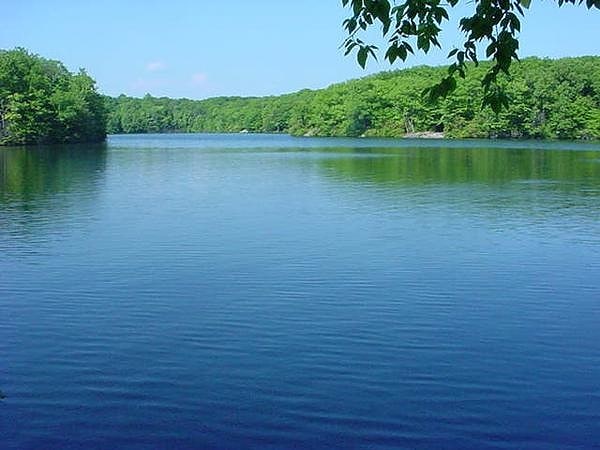 Park Stanowy Millers Pond, Stany Zjednoczone