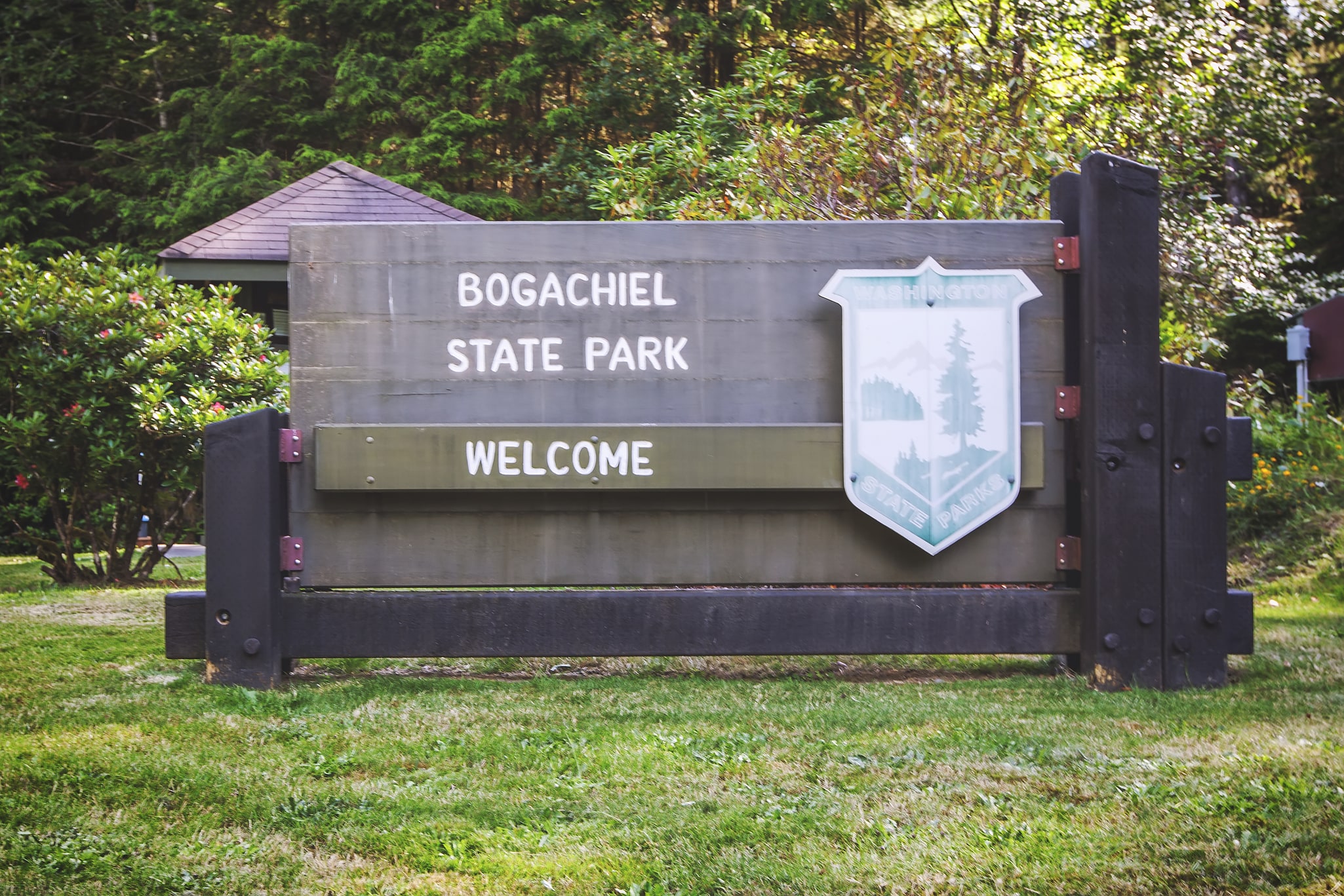 Bogachiel State Park, États-Unis