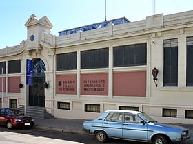Museo del Hombre y la Tecnología
