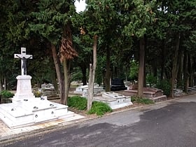Cementerio del Buceo