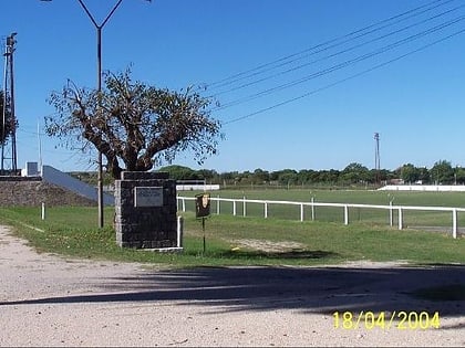 estadio miguel campomar