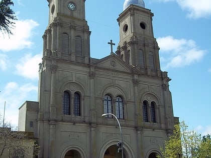 catedral basilica de florida