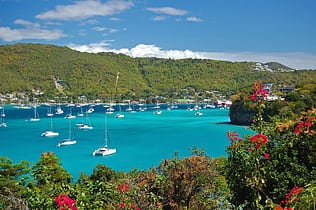 saint vincent and the grenadines