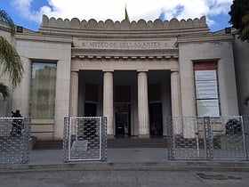 museum of fine arts caracas