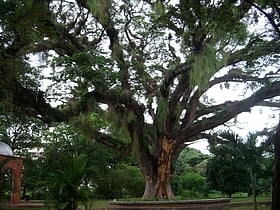 Jardín botánico de Naguanagua