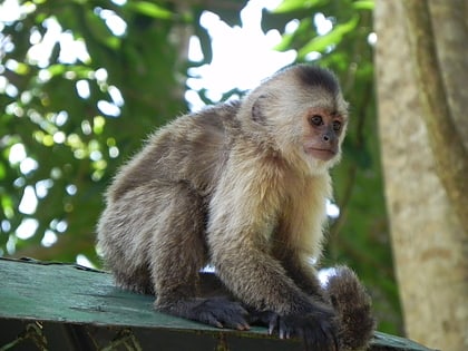 parque zoologico loefling ciudad guayana