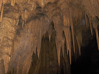 Park Narodowy Cueva del Guácharo