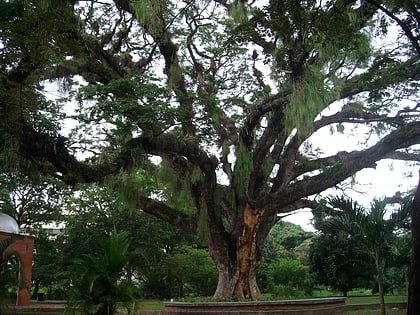 Naguanagua Botanical Garden