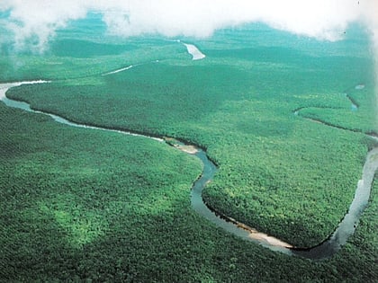 orinoco delta swamp forests