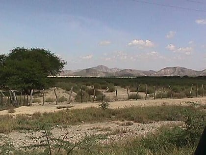 Park Narodowy Cerro Saroche