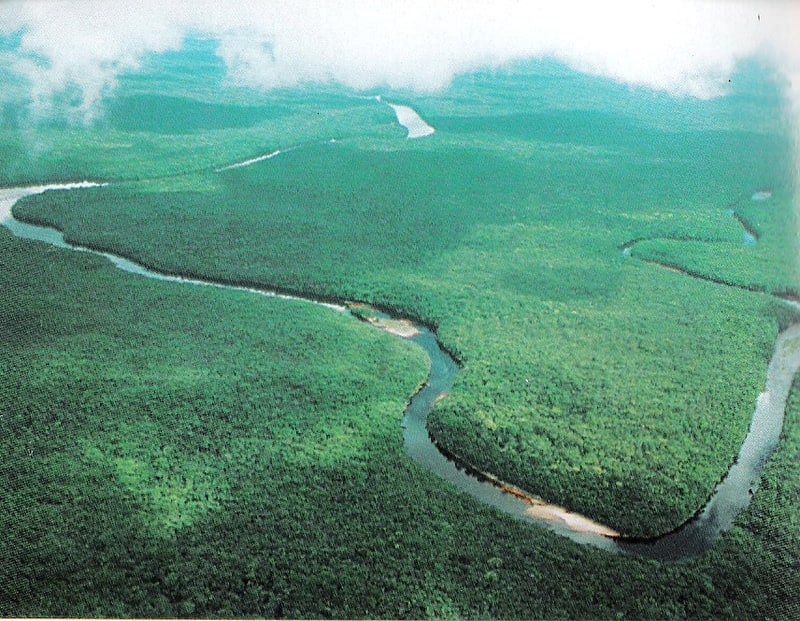Delta del Orinoco