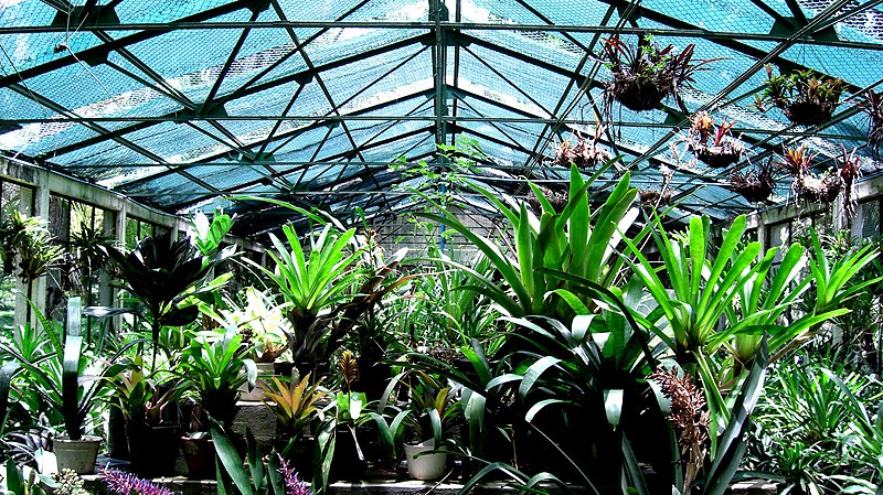 Jardín botánico de Caracas