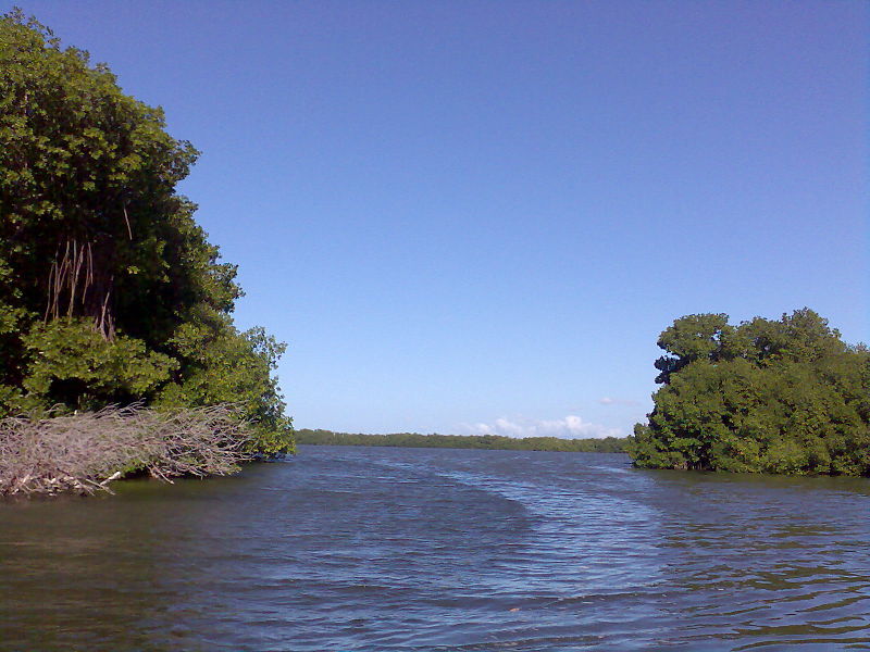 Laguna de la Restinga