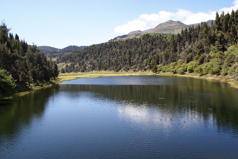 Parque nacional Sierra Nevada