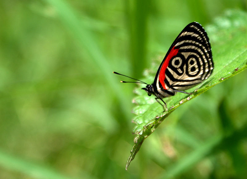 Yurubí National Park