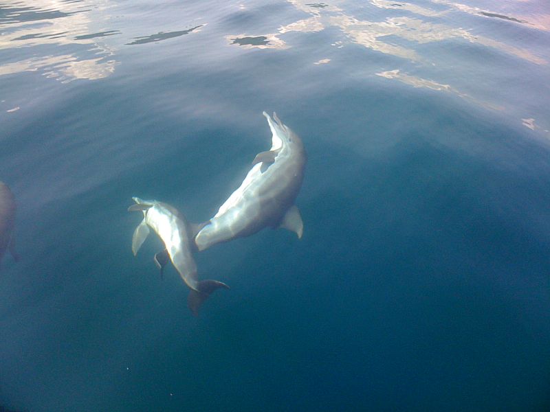 Parc national Mochima