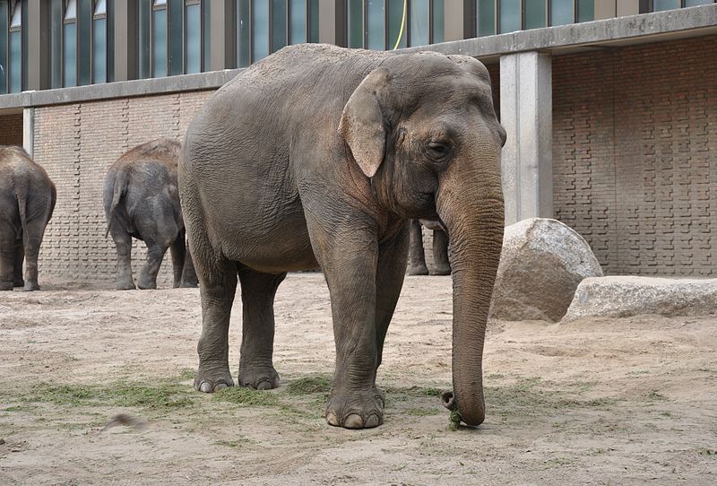 Parque zoológico y botánico Bararida