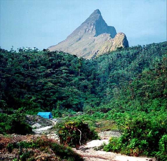 Parc national Serranía La Neblina, Venezuela