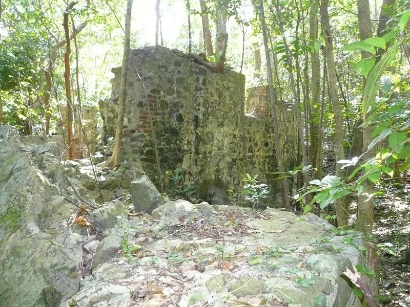 Ruines de Cooper Bay