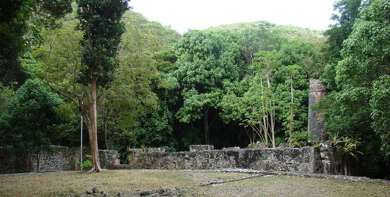 Parc national des îles Vierges
