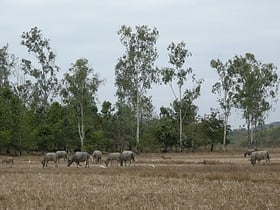 Park Narodowy Cát Tiên