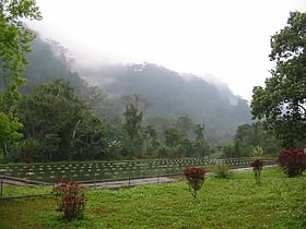 park narodowy cuc phuong