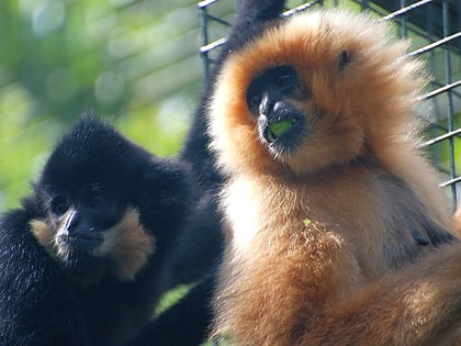 Bù Gia Mập National Park