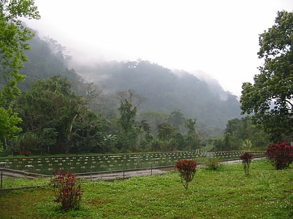 parc national de cuc phuong