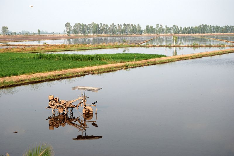 Mekong Delta