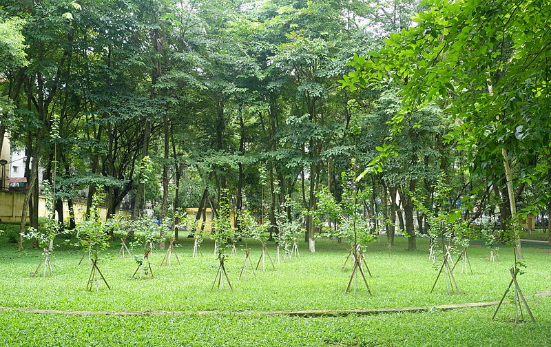 Jardin botanique de Hanoï