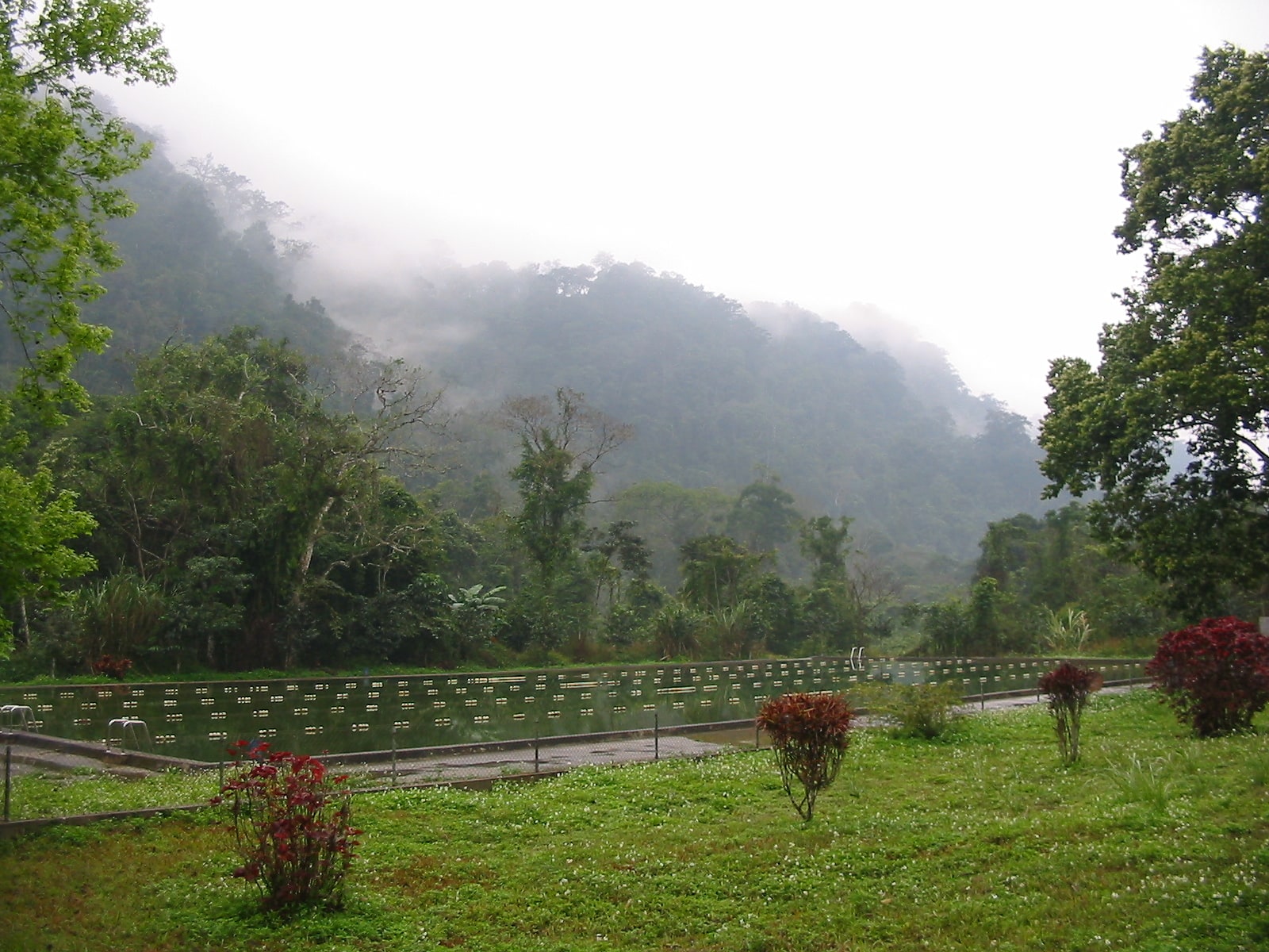 Nationalpark Cúc Phương, Vietnam