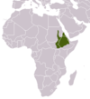 Äthiopische Grünmeerkatze