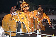 Sri-Lanka-Elefant