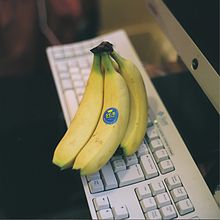 Banan zwyczajny