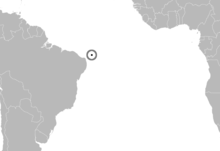 Trachylepis atlantica