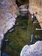 Devils Hole pupfish