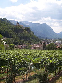 Liechtenstein wine