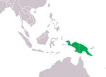 Crocodile de Nouvelle-Guinée