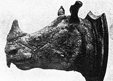 Rhinoceros sondaicus