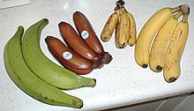 Cooking banana