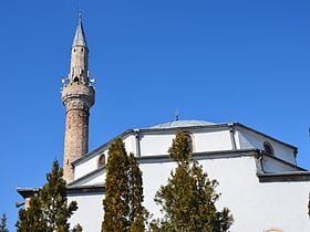 Mosquée Bajrakli de Peć